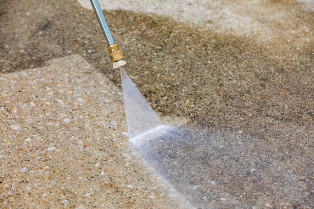Best Driveway Pressure Washing  in Culpeper, VA